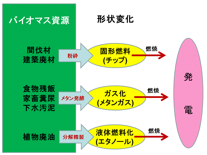 バイオマス発電