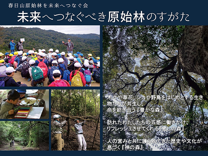 春日山原始林を未来へつなぐ会